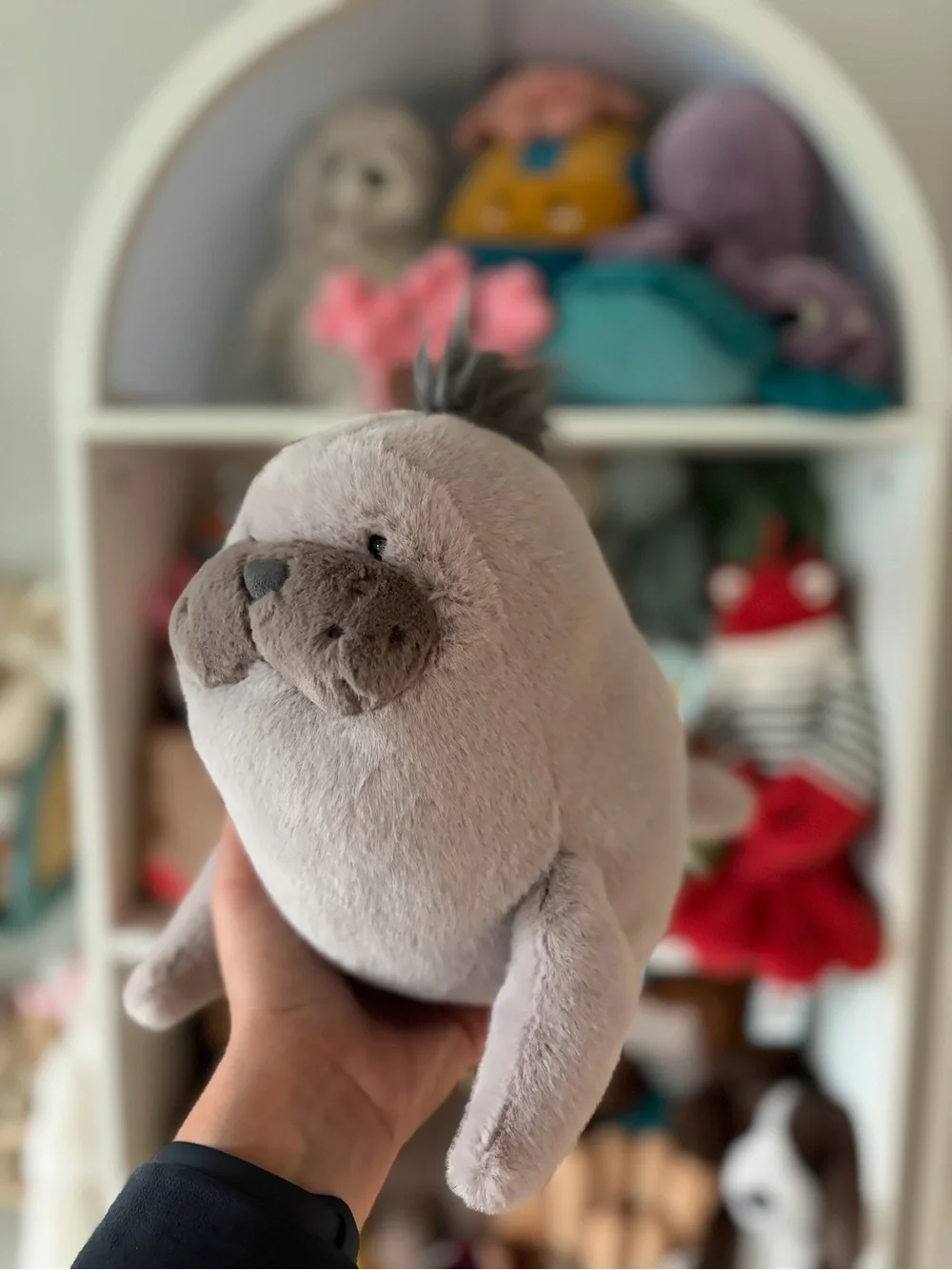Jellycat Roarwell Sea Lion - Authentic & BNWT